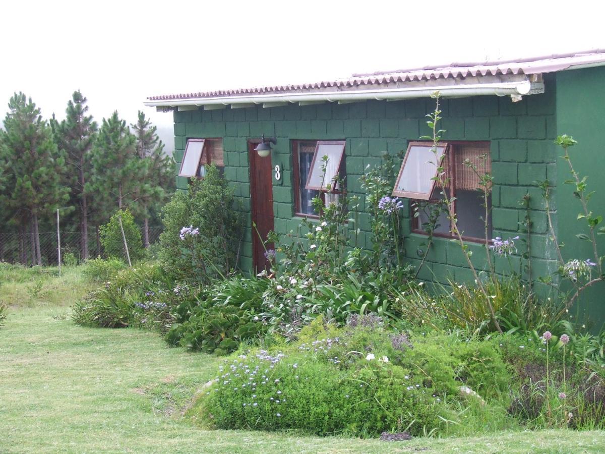 Tsitsikamma On Sea Hotel Stormsrivier Bagian luar foto